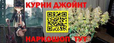 мяу мяу мука Будённовск