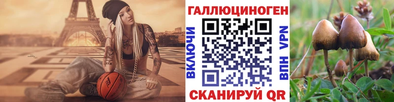 дарнет шоп  Изобильный  Галлюциногенные грибы Cubensis 