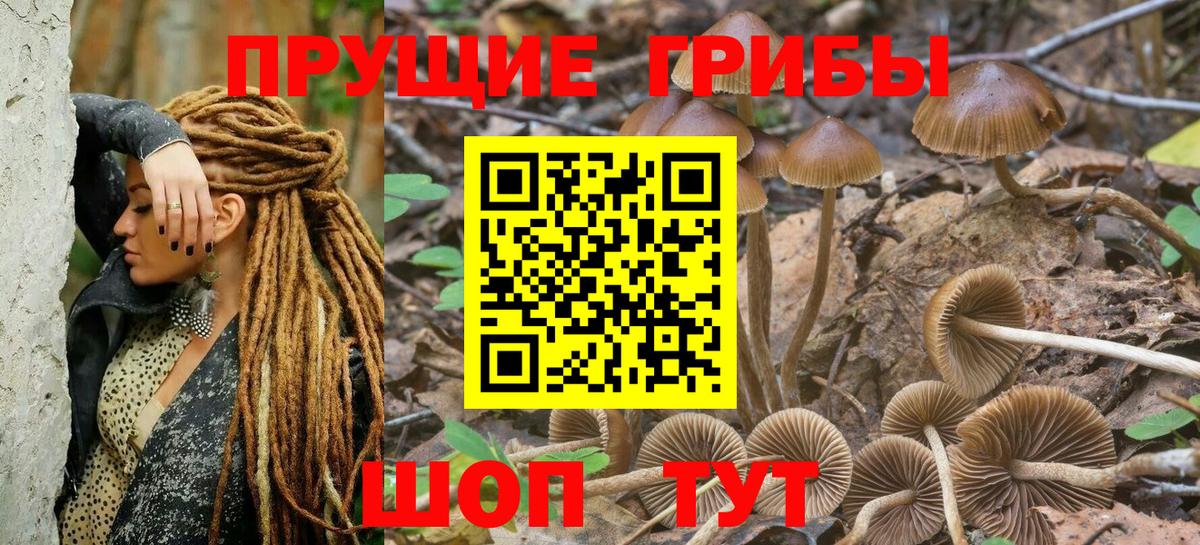 Галлюциногенные грибы мухоморы  Псилоцибиновые грибы MAGIC MUSHROOMS  Изобильный  Вход с VPN 