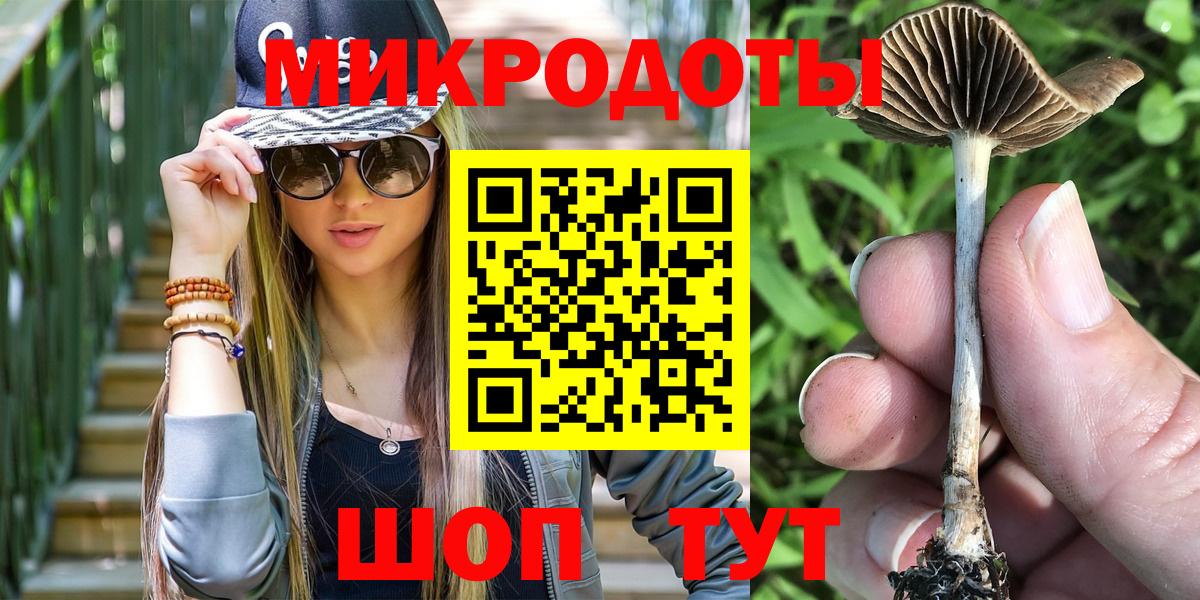 Псилоцибиновые грибы Psilocybe  Изобильный 